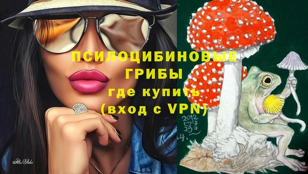 шишки Киренск