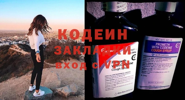 шишки Киренск