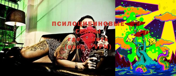 apvp Кинешма