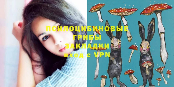 шишки Киренск